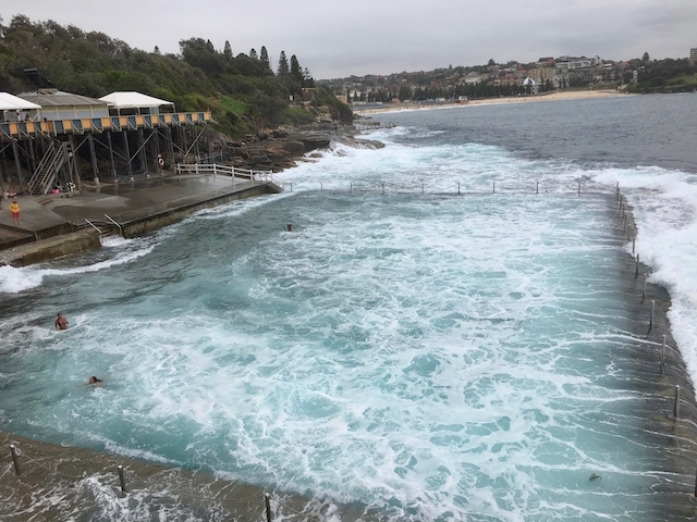 Wylie's Baths Coogee, photo Therese Spruhan, 26 January 2017