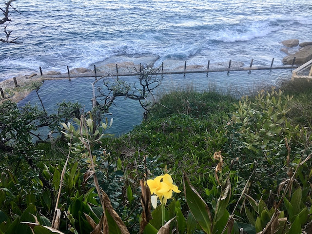 McIver's Ladies' Baths Coogee, photo Therese Spruhan, May 2017