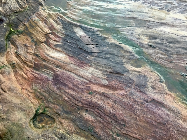 Sandstone around Ivo Rowe Pool, South Coogee, May 2017