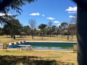 The 33 metre pool at Lockhart Pool, south-west NSW, photo Therese Spruhan, August 2017