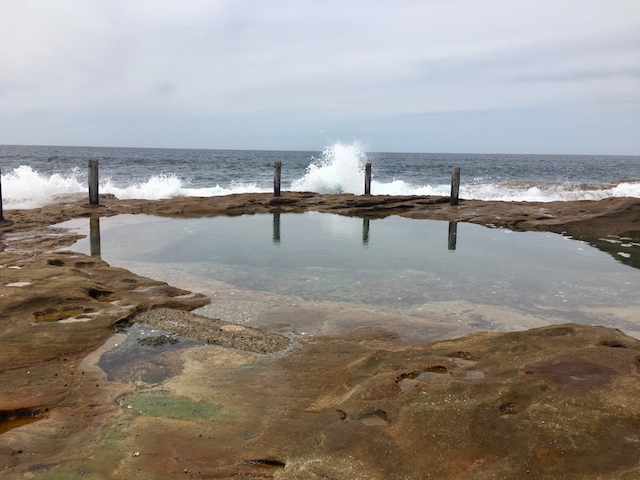 Ivo Rowe rock pool, South Coogee, photo Therese Spruhan, 8 October 2017.