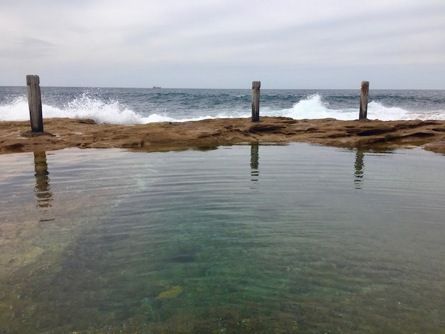 Ivo Rowe rock pool, South Coogee, photo Therese Spruhan, 8 October 2017