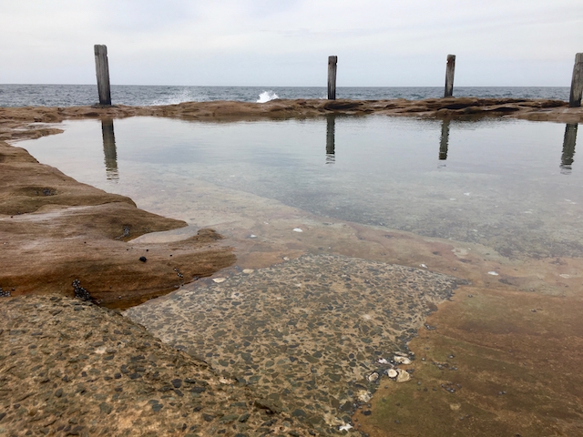 Ivo Rock rock pool, South Coogee, photo Therese Spruhan, 8 October 2017