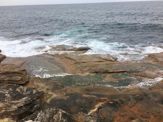 The rock platform at South Coogee near Ivo Rowe Pool, photo Therese Spruhan, October 8, 2017