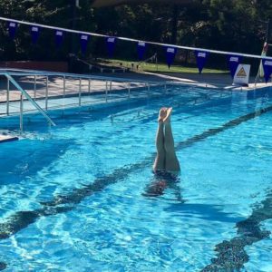 Handstands at Petersham Pool, Therese Spruhan, 3 October 2018