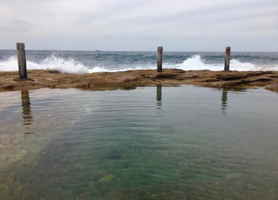 Ivo Rowe rock pool, South Coogee, photo Therese Spruhan, 8 October 2017